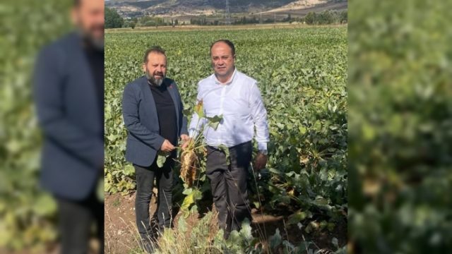 Kurtgöz; "Çiftçi, bir bardak çay parasının üçte birine razı"