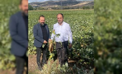 Kurtgöz; "Çiftçi, bir bardak çay parasının üçte birine razı"
